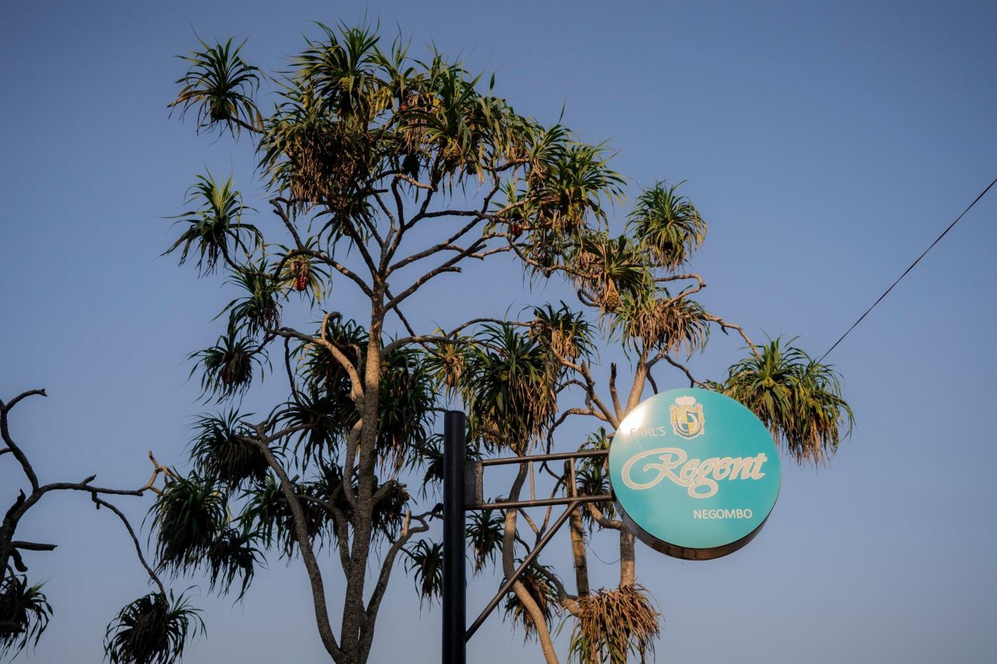 Earl'S Regent Negombo Hotel Exterior photo